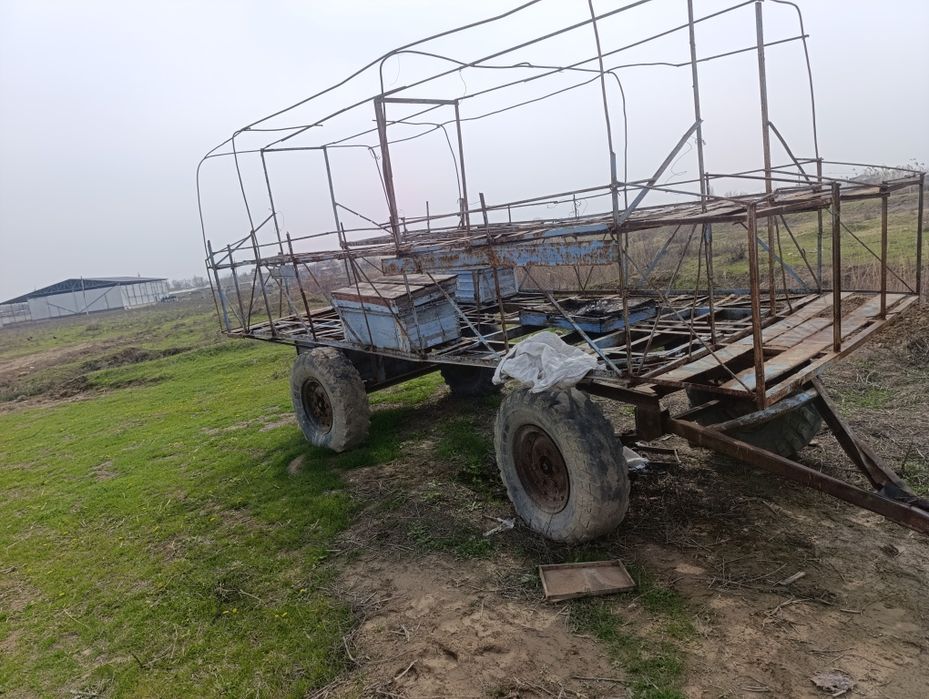 Асалари павилёни