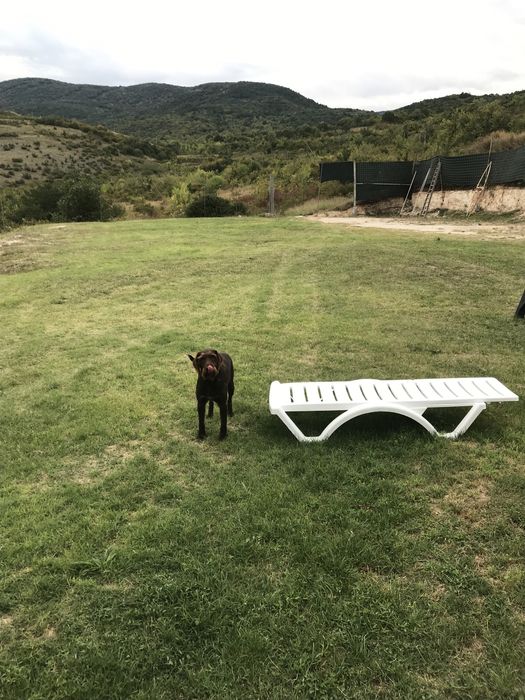 Продава се Парцел в Перущица - 2500 кв.м за 35 €/кв.м - Снимка #5