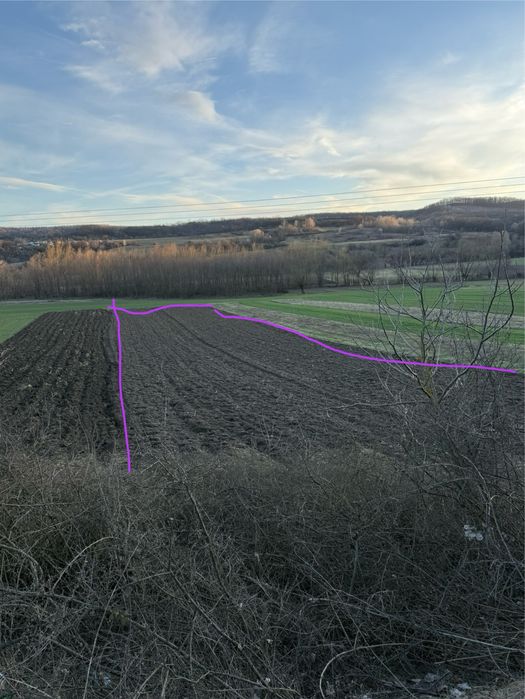 Vând teren extravilan 2.692 mp sat Nandru, comuna Pestisu Mic