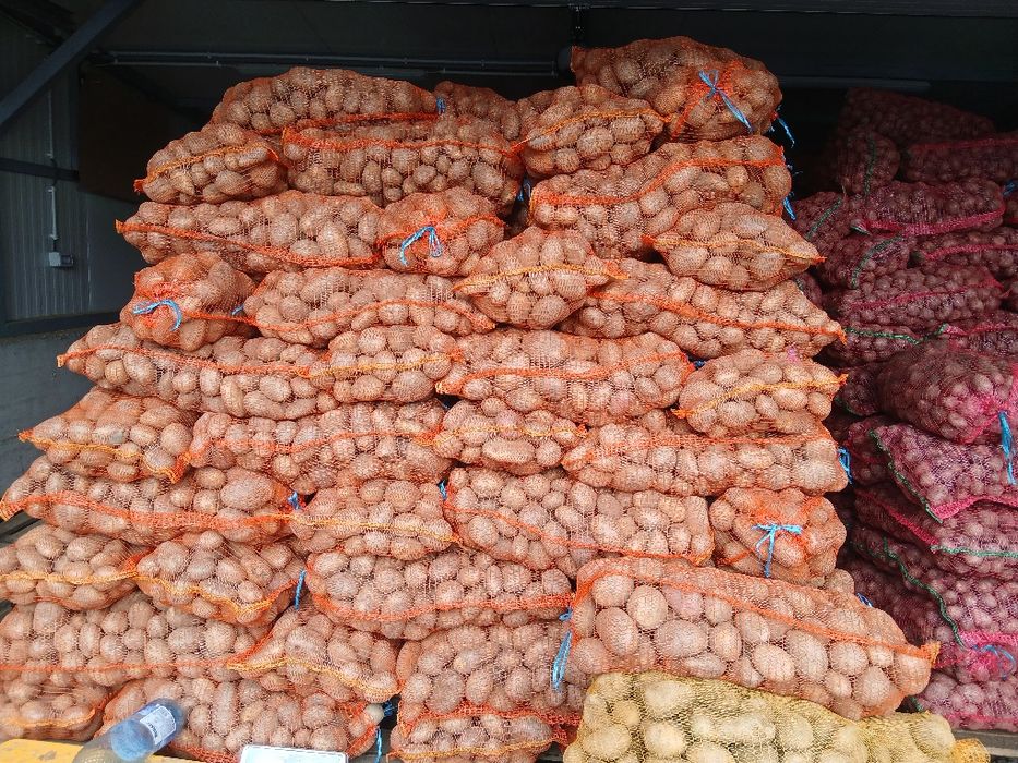 Cartofi de animale si de consum