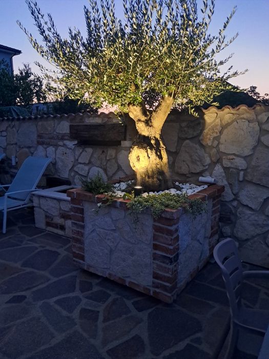 Jardiniere mobile si maslini seculari