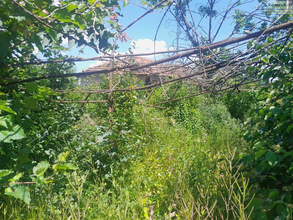 Парцел в регулация, с.Благово на 7 км. от гр.Монтана