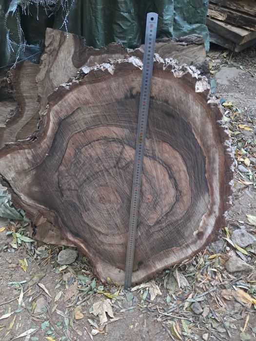 Rondele nuc. PRET SUPER BUN