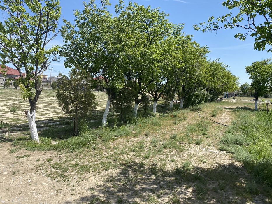 Жалға 1га. жер беріледі