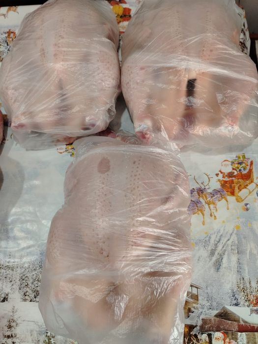 Продам бройлеров 2800.за кг. Доставка по городу.