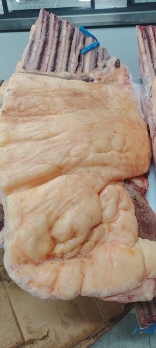 Продам Конина қазы