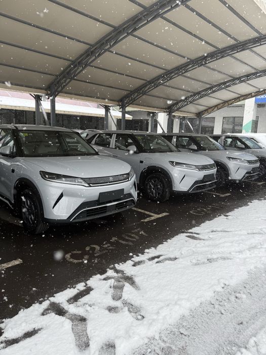 Bivaydi yuvan up 2025 yil