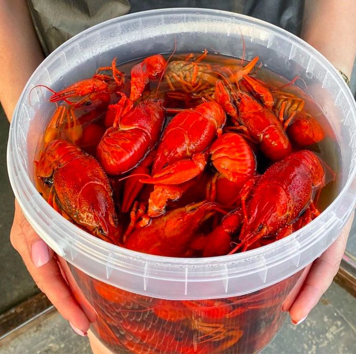 Живые раки,доставка раков,камчатский краб,коешни краба
