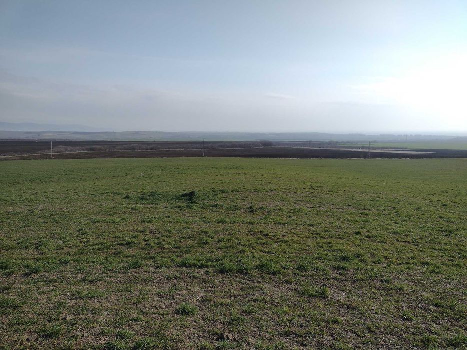 Продава се Парцел в Каблешково - 1400 кв.м за 7 €/кв.м - Снимка #5