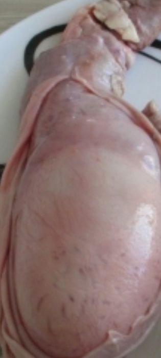 Сублимированный говяжий рубец для собачек