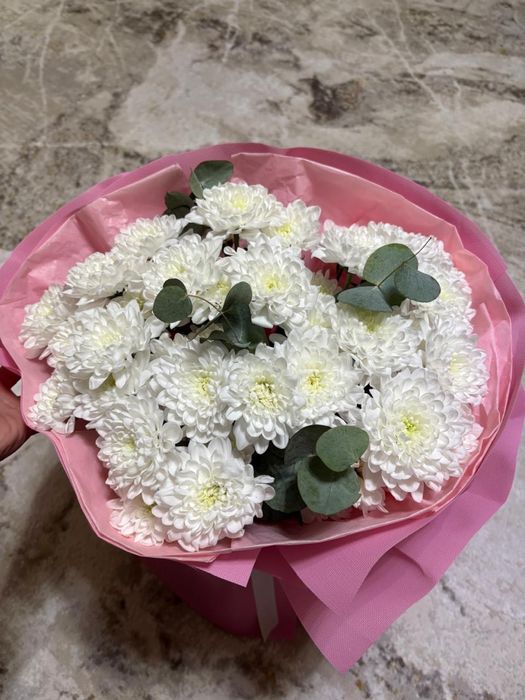 Гүл цветы гул хризантема