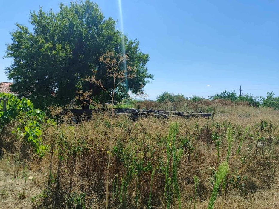 Продава се Парцел в с. Козлодуйци, Област Добрич - 1130 кв.м за 8 €/кв.м - Снимка #1