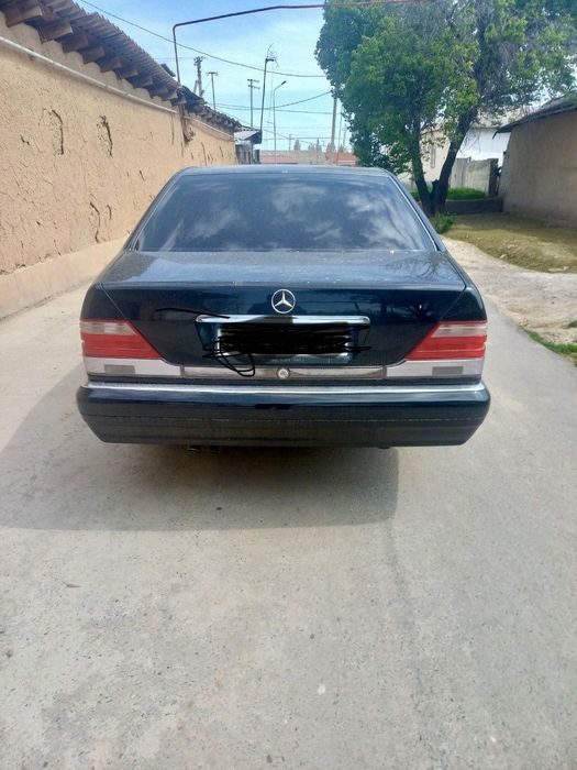 W 140 mers shessot