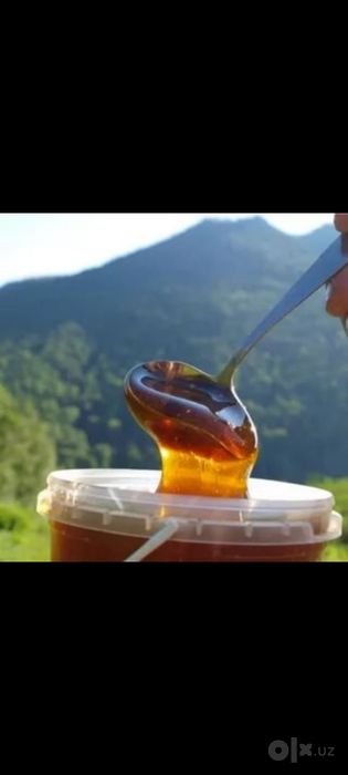 Кумишкон Тог Асали
