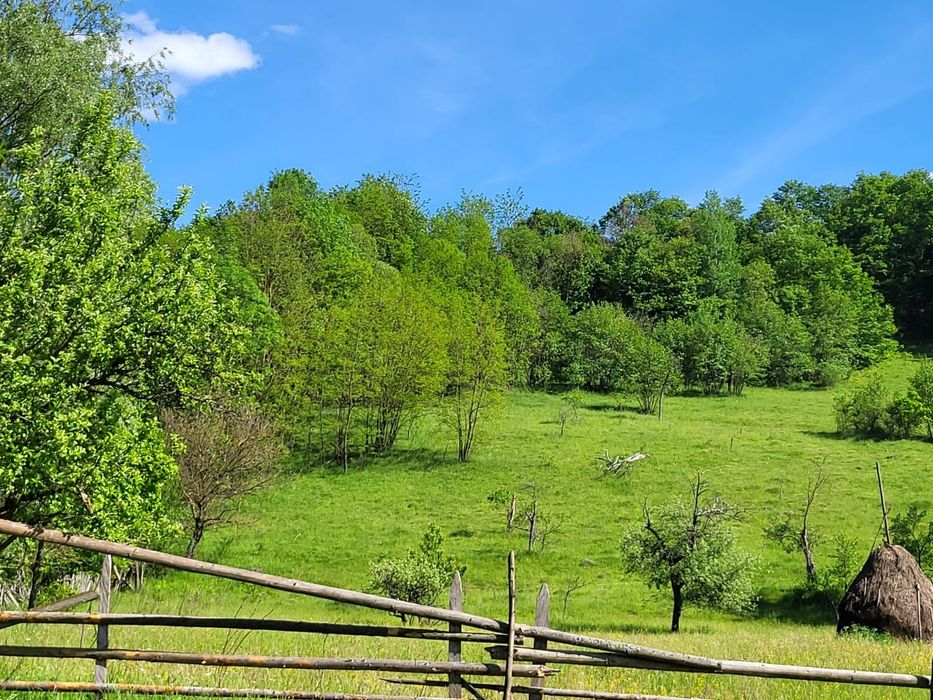 Teren și pădure, 1,5 hectare, Poieni, Densuș, Hunedoara