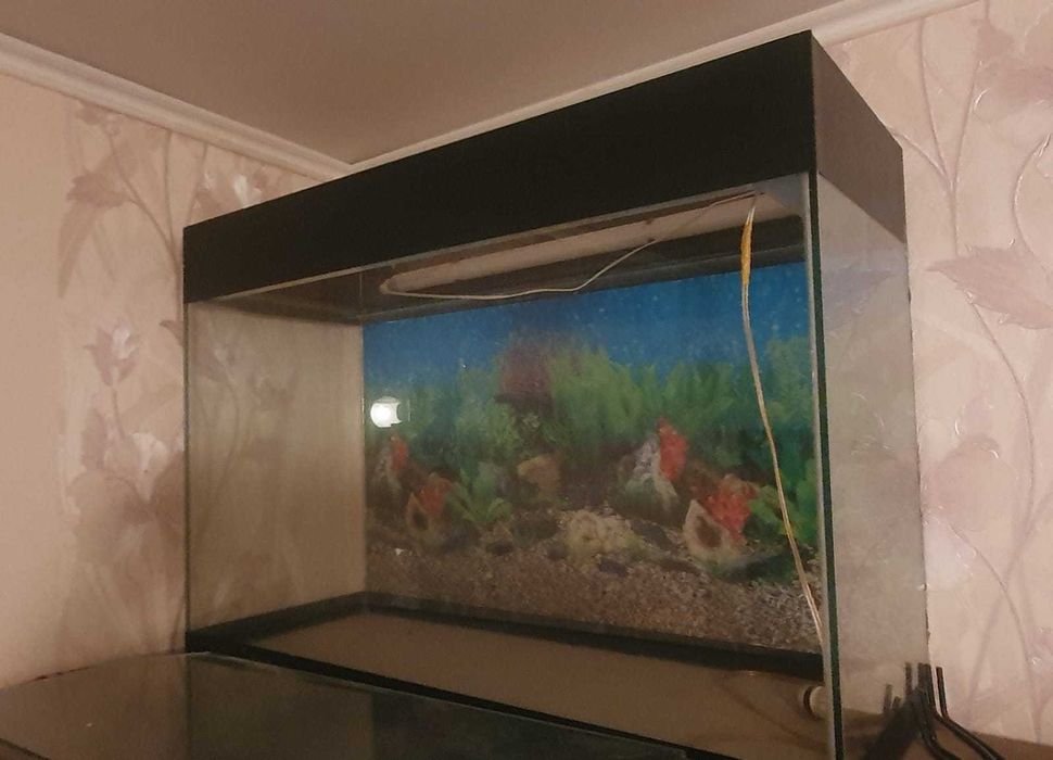 Продам АКВАРИУМ продам