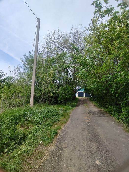 Продам участок в с/ Любитель природы