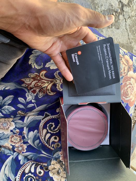 Колонка Алиса Новый Срочно