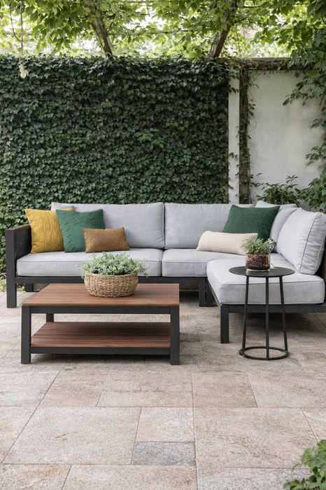 Плющ вечно зелёный