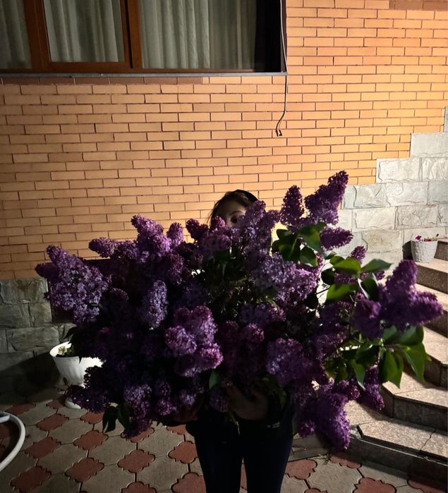 Сирень Букет алматы