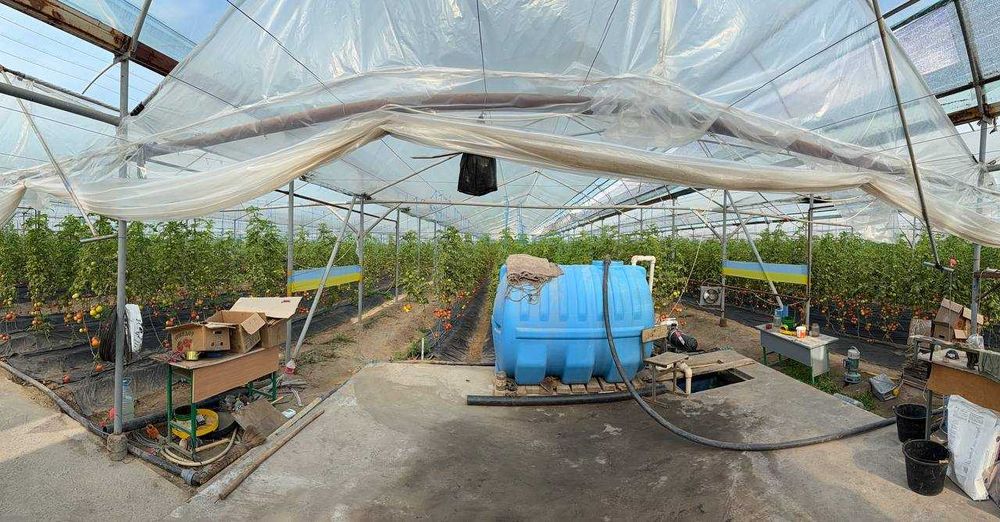 Parnik, teplisa, issiq’xona, Termiz Uchqizil