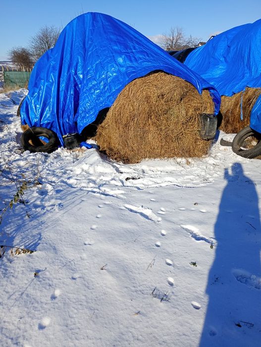 Baloți lucernă stare perfecta de consum