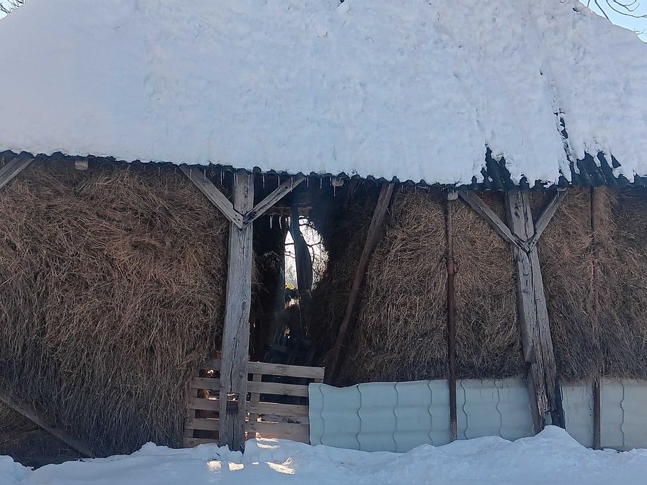 Fan de vanzare Tur, Negrești-Oaș