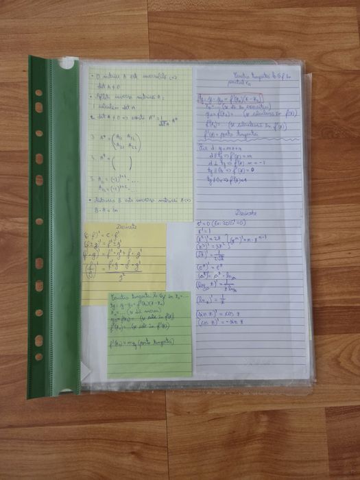 Materiale Bacalaureat (Geografie+Matematica+Romana)