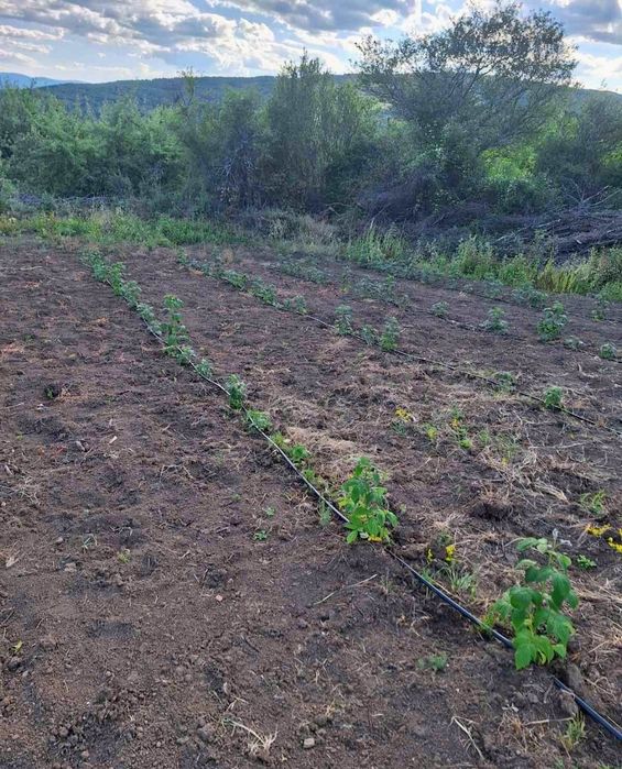 Продава се парцел в село Прибой,  област Перник
