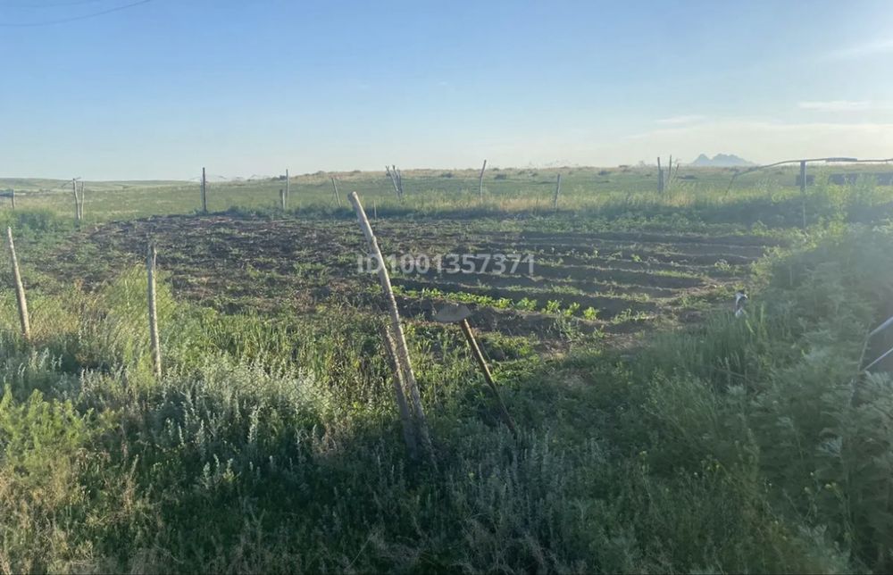 Продам крестьянское хозяйство