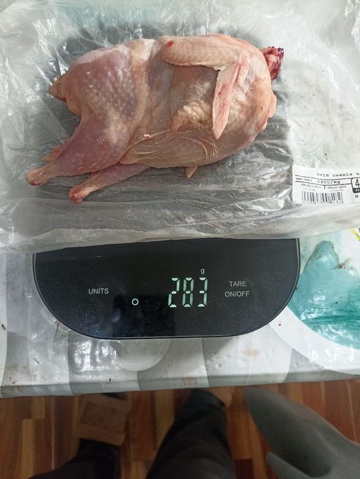 inkubatsiya  bedana tuxumlari va  jo‘jalari Яйца и перепелята