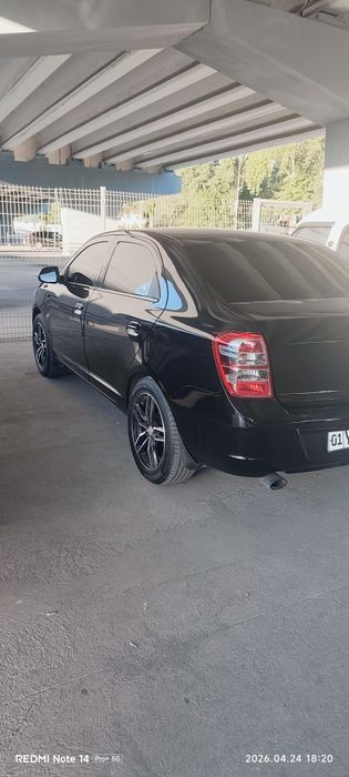 Other Cobalt 2023 — 3