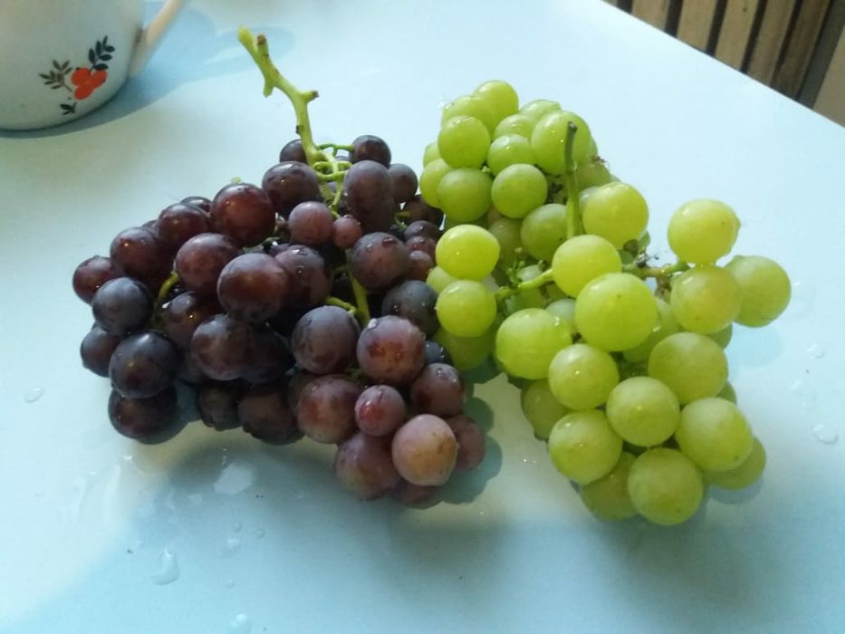 Продам черенки винограда 400тг.