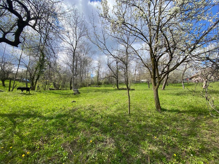 Teren Sat Pietriceaua Comuna Brebu