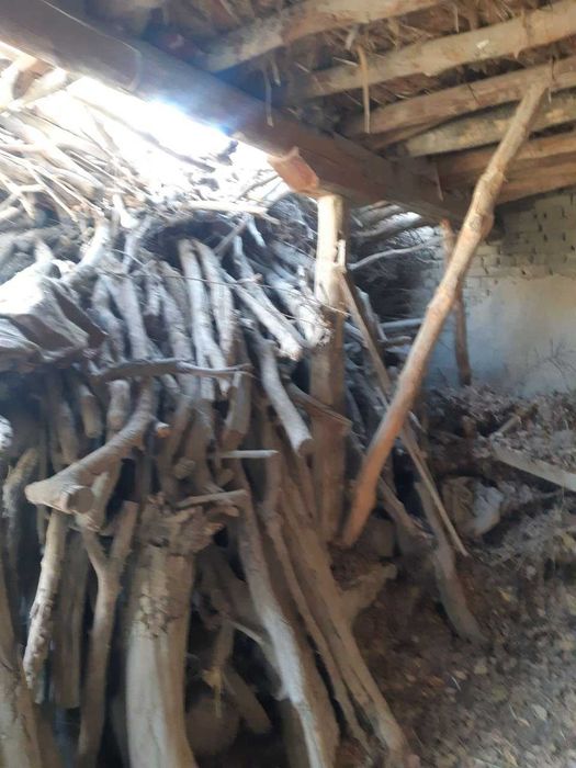 kelishilgan narxda o'tin sotiladi