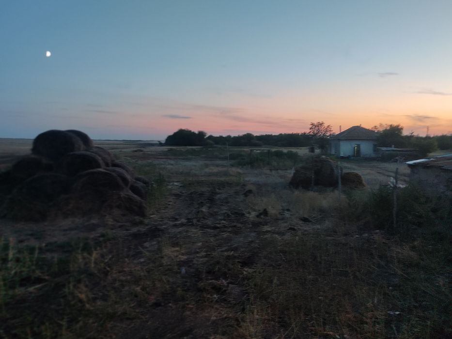 Ферма , личное подсобное хозяйство