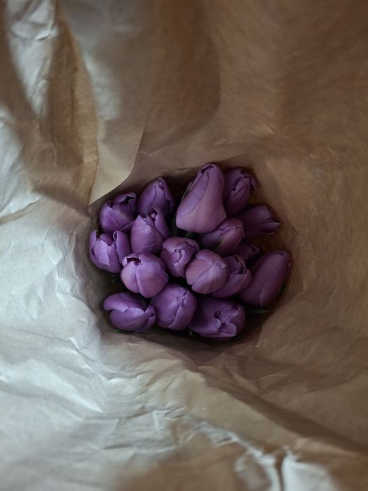 Тюльпаны в наличии Алматы.