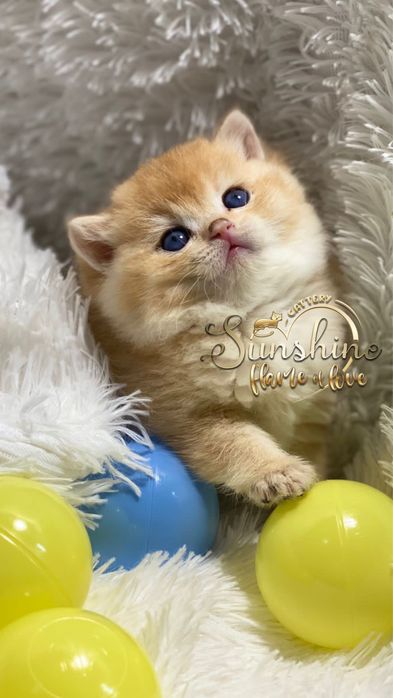 Малыши смешныые