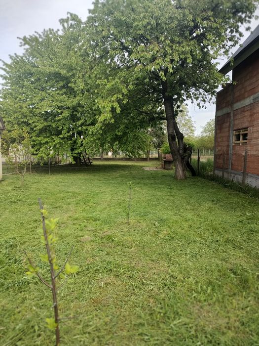 Casă de vacanță Satu Mare