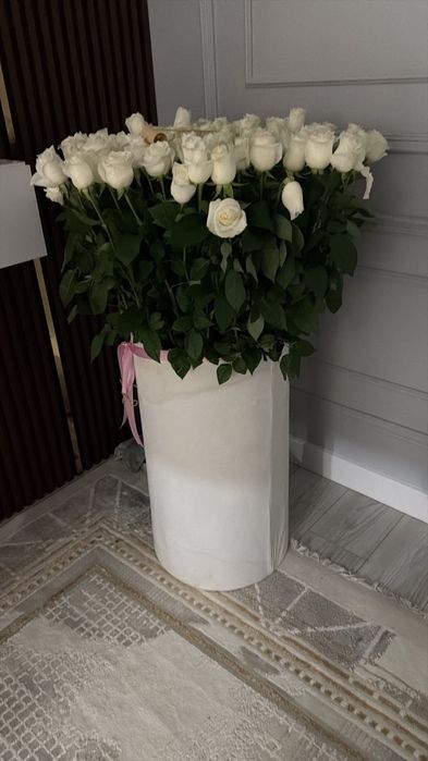 Белые розы светы