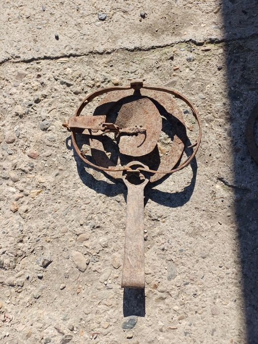 Капан голям с шипове работещ