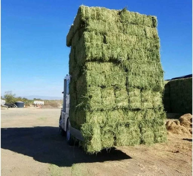 Прес жоңышқа 3 ші орым