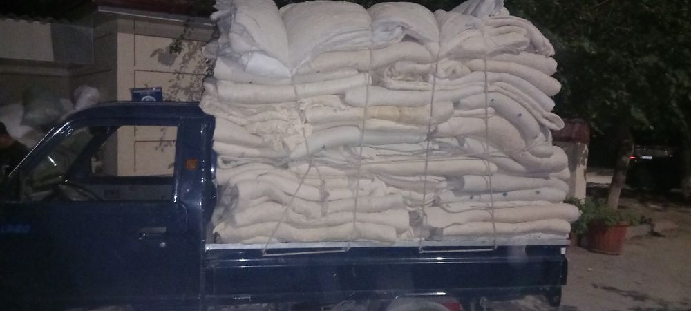 PAXTA OLAMIZ.yaxshi narxda