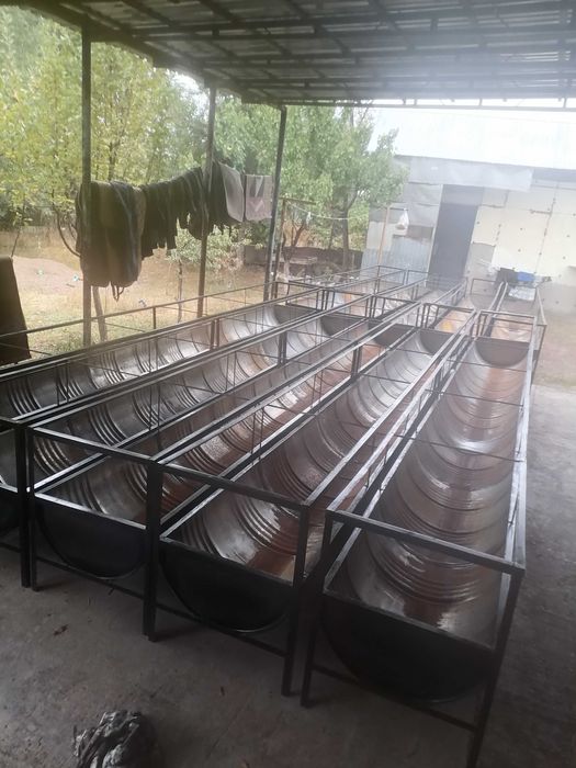 Астау кормушка науа