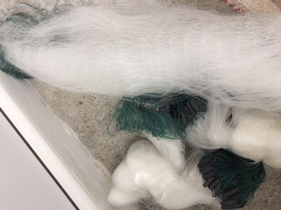 Plase pescuit pescaresti