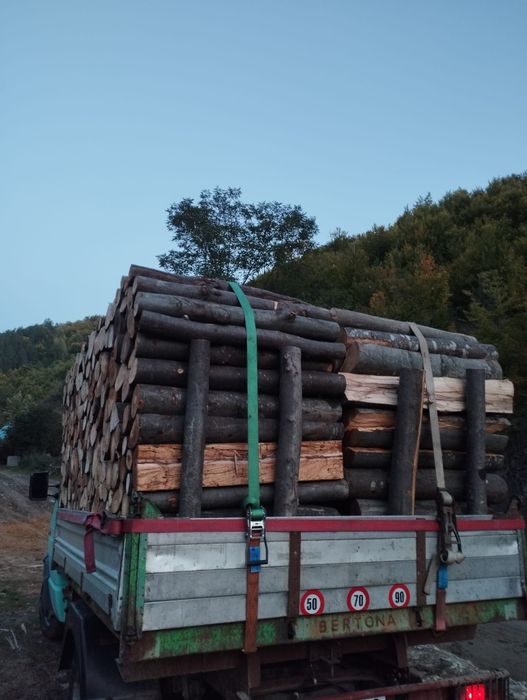 Lemne de foc fag capete uscate sau 600lei tona sau la metru ster