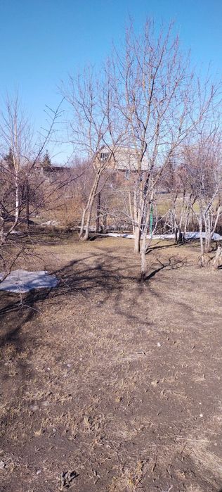 Продам дачу,с.о.Иртыш-4