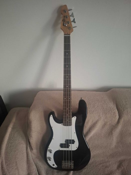 chitara clasica acustica electrica bass combo amplificator 10-100w