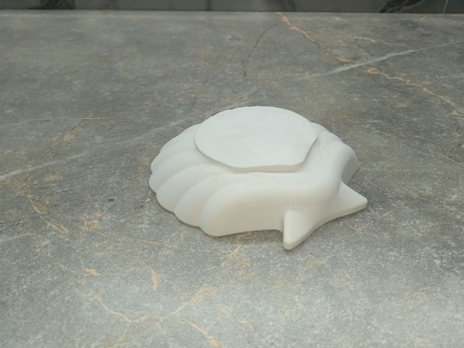 Тойбастар гипс ракушка