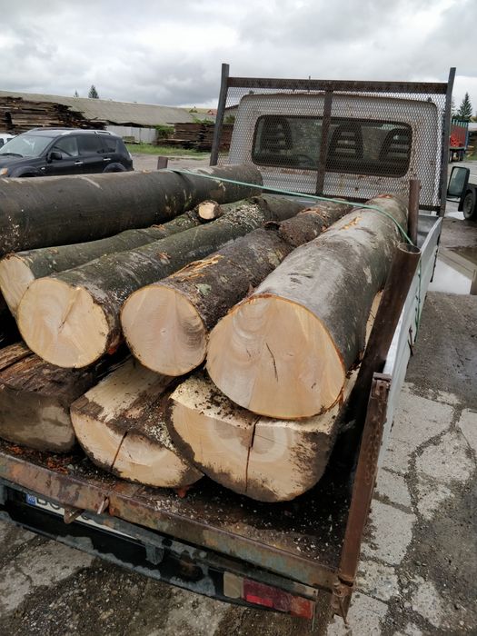 Lemn foc - bustean - USCAT sau VERDE